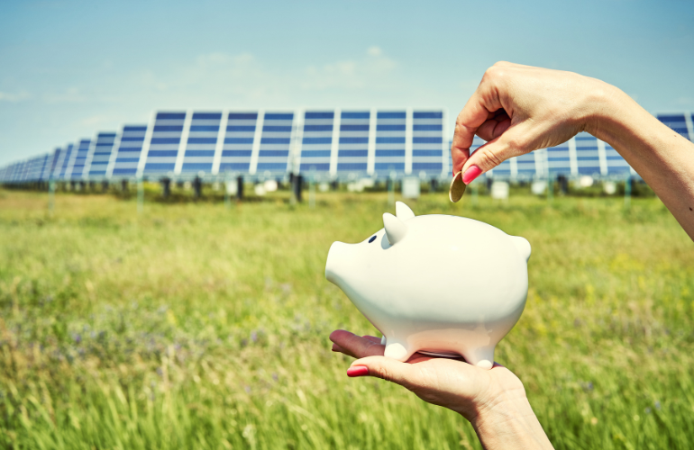 Piggybank in a Solar Panel Field